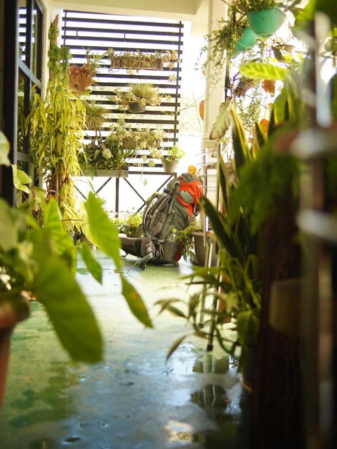 Redwood Homestay Nuwara Eliya Eksteriør billede