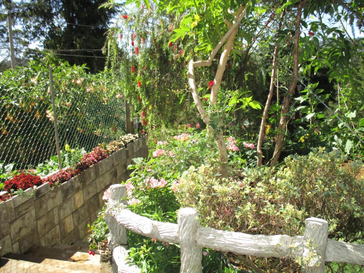 Redwood Homestay Nuwara Eliya Eksteriør billede