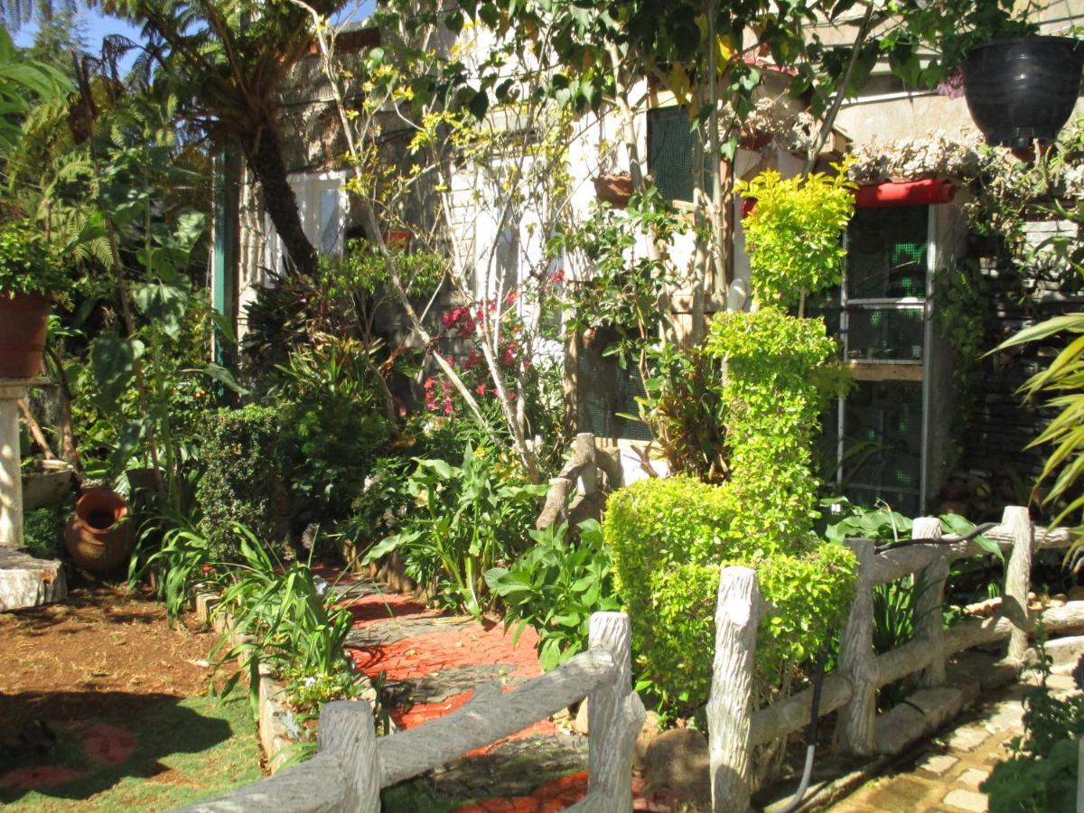 Redwood Homestay Nuwara Eliya Eksteriør billede